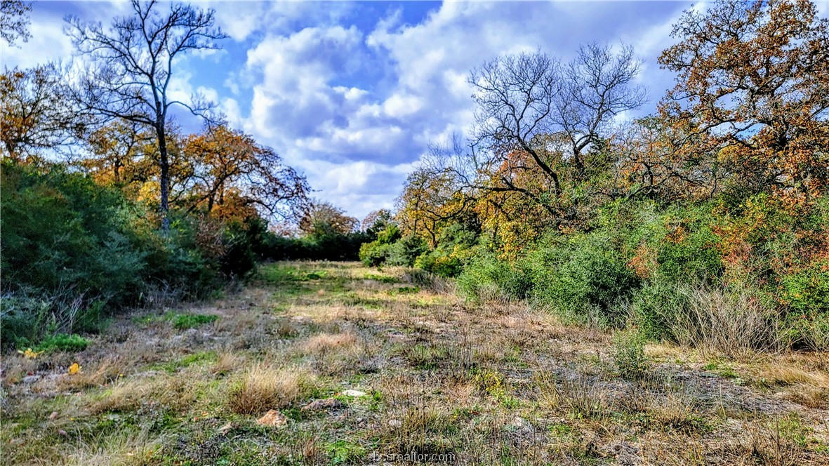 LOT 11 YORKSHIRE TRAIL, FRANKLIN, TX 77856, photo 1 of 17