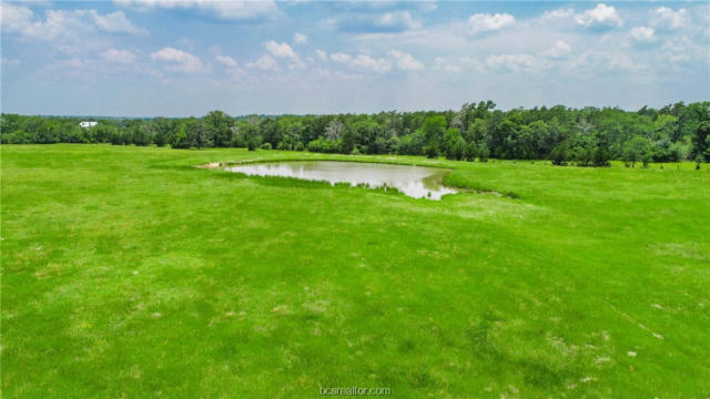 LOT 31 LEGACY RD, SOMERVILLE, TX 77879, photo 3 of 31