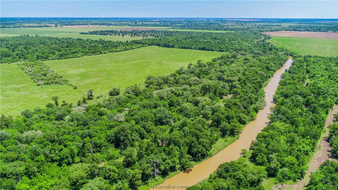 TBD CR 443 (250.44 ACRES), SNOOK, TX 77878, photo 1 of 49