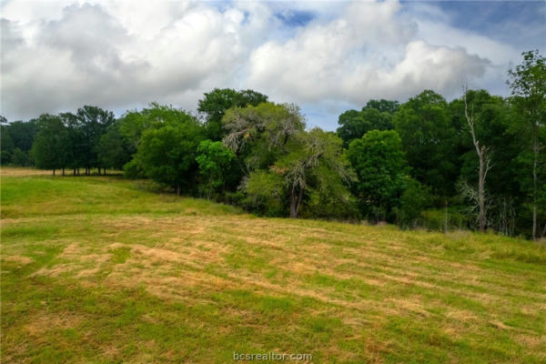 1010 COUNTY ROAD 307, CALDWELL, TX 77836, photo 4 of 17