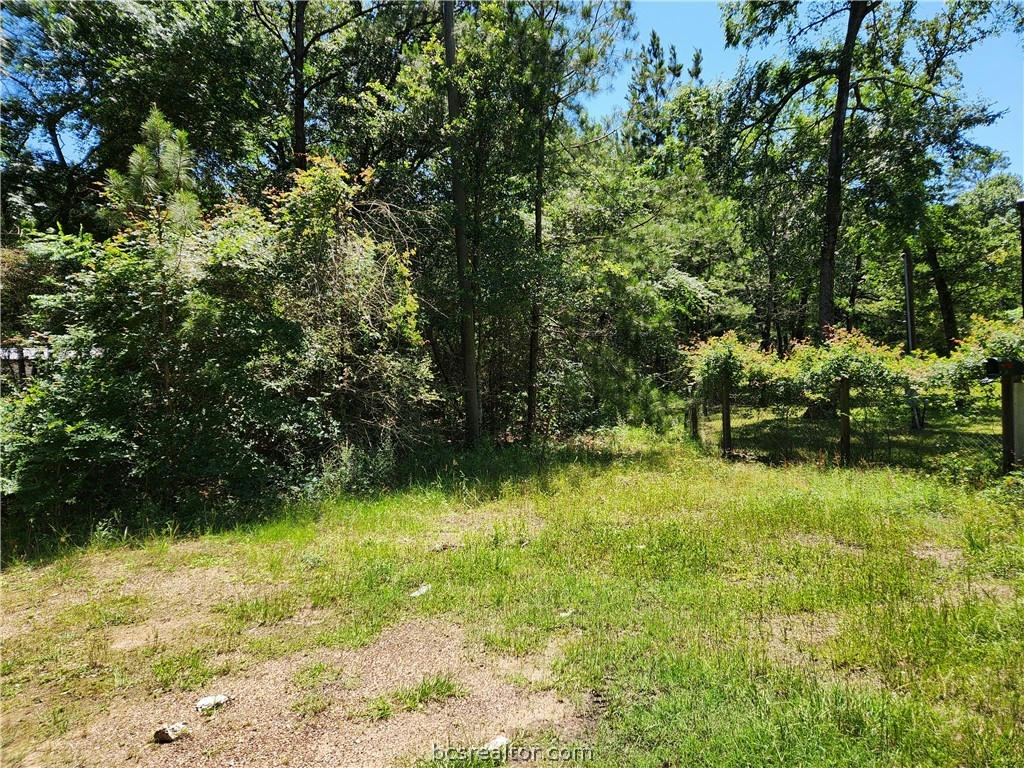 LOT 10 SWEETLEAF LANE, PLANTERSVILLE, TX 77363, photo 1 of 8