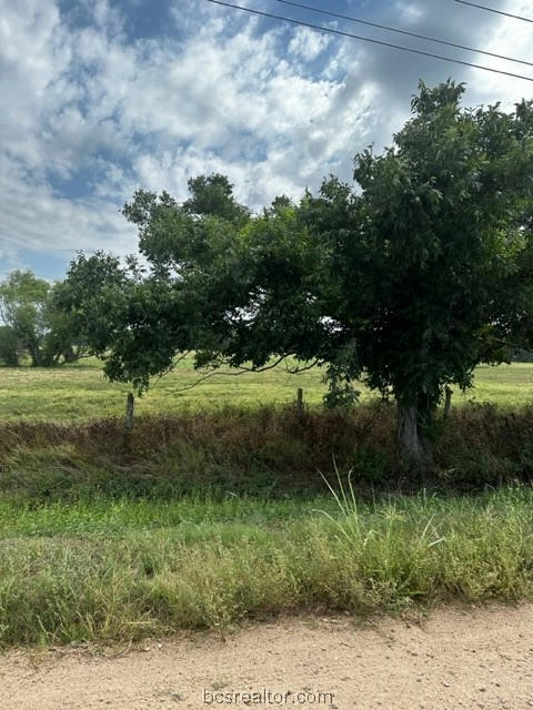 TRACT 6 COUNTY ROAD 240, OTHER, TX 77434, photo 1 of 12