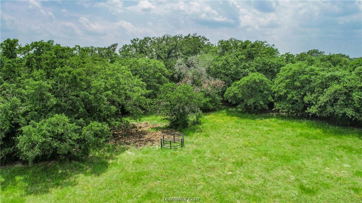 LOT 29 LEGACY RD, SOMERVILLE, TX 77879, photo 1 of 20