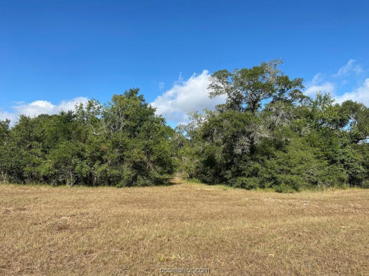 TBD LOOSE COW (11 AC) ROAD, OTHER, TX 77442, photo 3 of 12