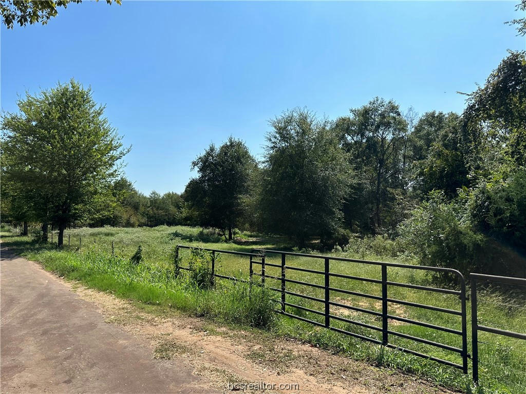 TRACT 2 TBD FCR 296, OAKWOOD, TX 75855, photo 1 of 6