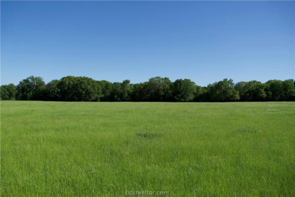 TBD ST DELIGHT (TRACT 2), PAIGE, TX 78659, photo 4 of 8