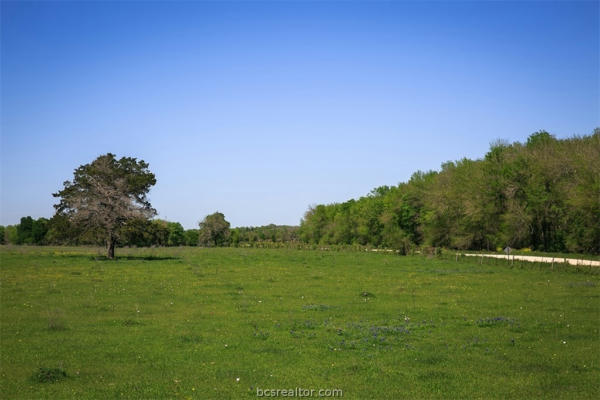TRACT 4B CANEY CREEK ROAD, CHAPPELL HILL, TX 77426, photo 5 of 7