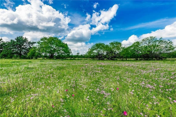 15.2 ACRES N OLD SPRINGFIELD, NORTH ZULCH, TX 77872 - Image 1