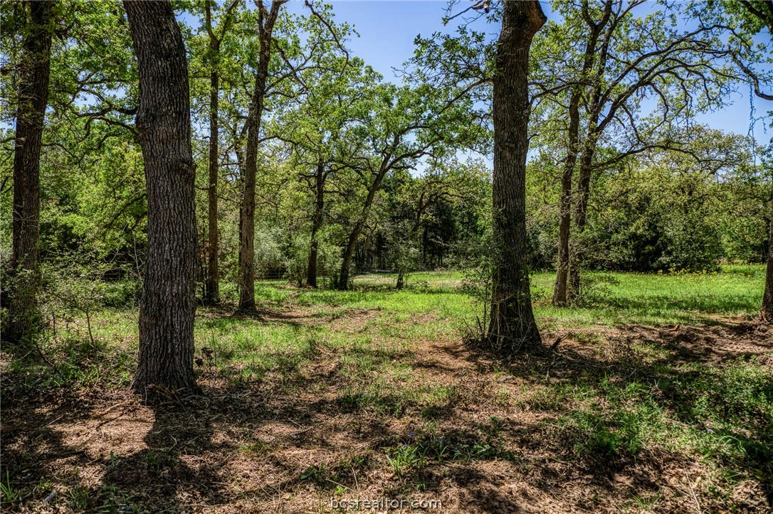 TBD (25.43 ACRES) COUNTY ROAD 436, DIME BOX, TX 77853, photo 1 of 32