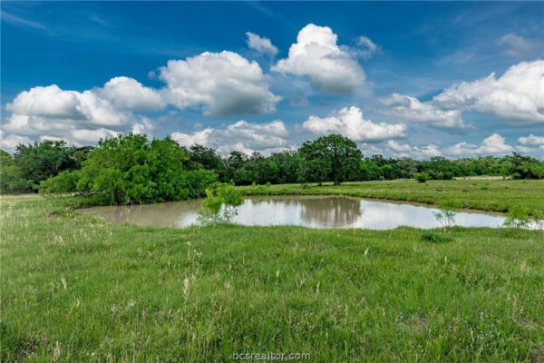 34.143 N OLD SPRINFIELD, NORTH ZULCH, TX 77872, photo 2 of 32