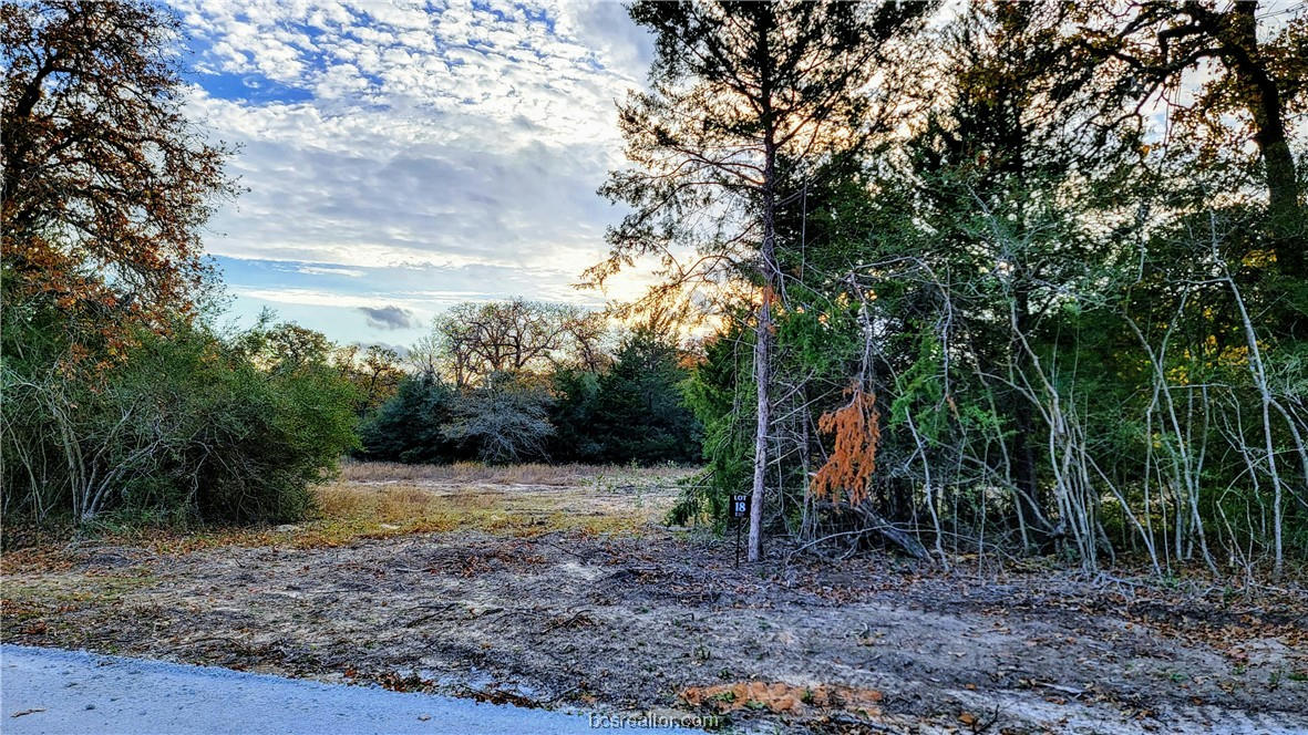 LOT 18 YORKSHIRE TRAIL, FRANKLIN, TX 77856, photo 1 of 20