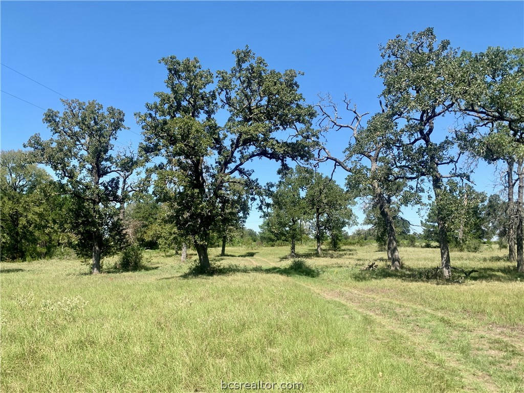 000 COUNTY ROAD 137, BEDIAS, TX 77830, photo 1 of 27