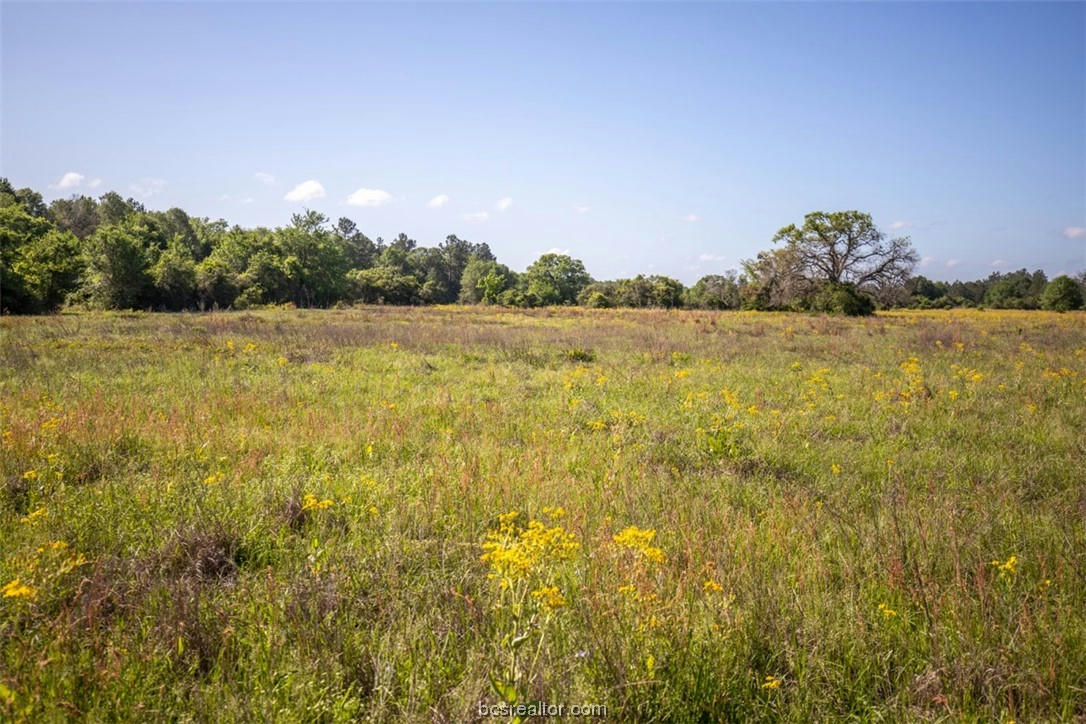 TBD RED HILL RD, BEDIAS, TX 77831, photo 1 of 19