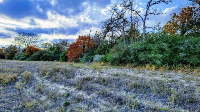 LOT 11 YORKSHIRE TRAIL, FRANKLIN, TX 77856, photo 4 of 17