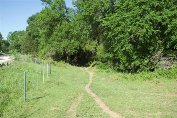 TBD ST DELIGHT (TRACT 10), PAIGE, TX 78659, photo 4 of 8