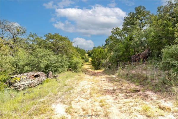 13 ACRES TBD COUNTY ROAD 331, MILANO, TX 76556 - Image 1