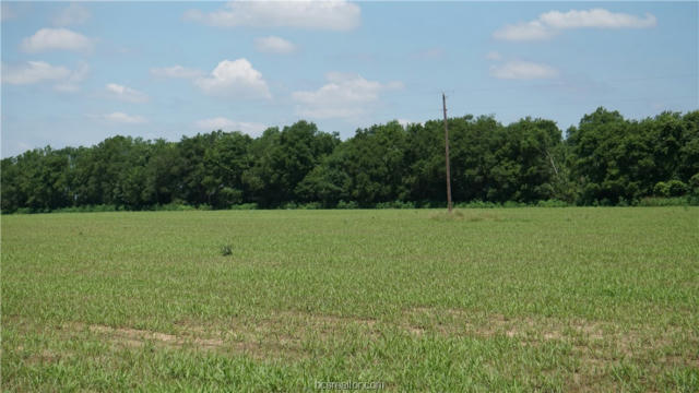 5083 COUNTY ROAD 377, CALDWELL, TX 77836, photo 3 of 9