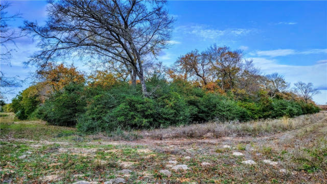 LOT 18 YORKSHIRE TRAIL, FRANKLIN, TX 77856, photo 5 of 20