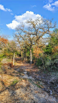 LOT 28 YORKSHIRE TRAIL, FRANKLIN, TX 77856, photo 4 of 19