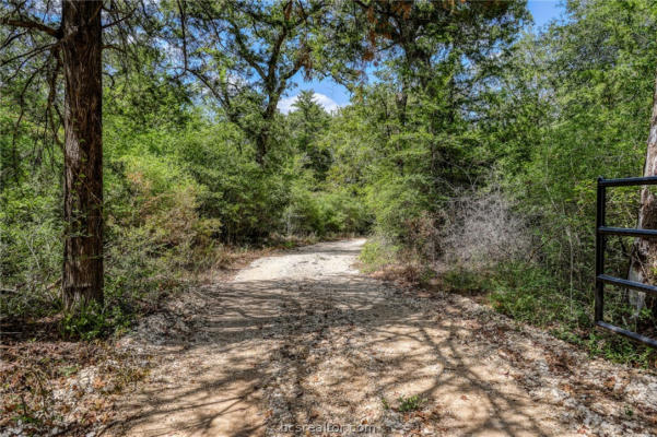TBD (+/- 13 ACRES) COUNTY ROAD 373, CALDWELL, TX 77836 - Image 1