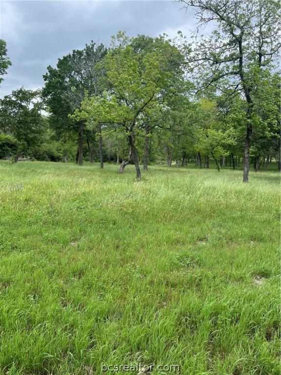 PART OF 13357 CR 4822, NORMANGEE, TX 77871, photo 1 of 6
