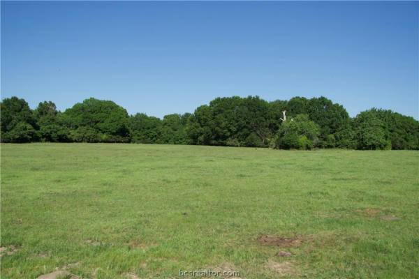 TBD ST DELIGHT (TRACT 10), PAIGE, TX 78659, photo 3 of 8