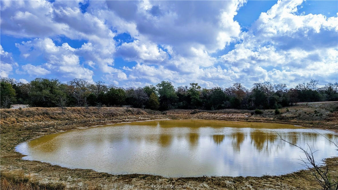 LOT 20 YORKSHIRE TRAIL, FRANKLIN, TX 77856, photo 1 of 33