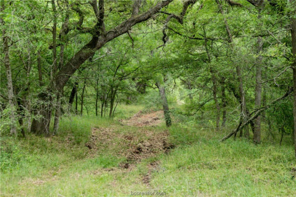 TBD CR 443 (250.44 ACRES), SNOOK, TX 77878, photo 5 of 49