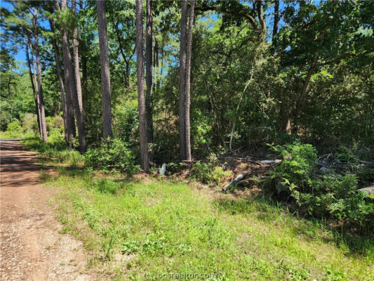 LOT 1 CORAL BEAN LANE, PLANTERSVILLE, TX 77363, photo 4 of 14