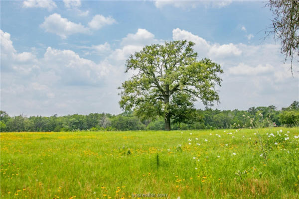 LOT 31 LEGACY RD, SOMERVILLE, TX 77879, photo 2 of 31