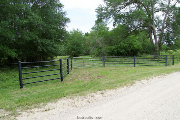 TBD ST DELIGHT RD (TRACT 7), PAIGE, TX 78659, photo 3 of 12