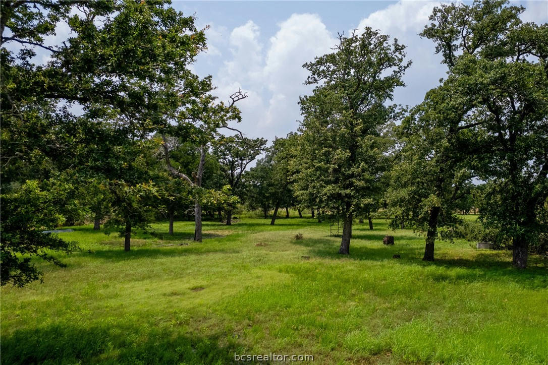 TBD THORNBERRY DRIVE, SOMERVILLE, TX 77879, photo 1 of 7