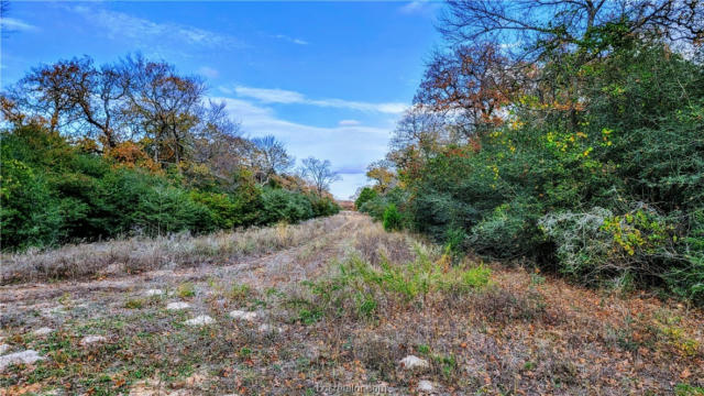 LOT 18 YORKSHIRE TRAIL, FRANKLIN, TX 77856, photo 4 of 20