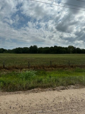 TRACT 6 COUNTY ROAD 240, OTHER, TX 77434, photo 4 of 12