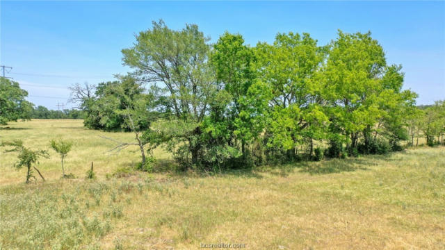 8538 PRESERVATION WAY, NORTH ZULCH, TX 77872, photo 3 of 16