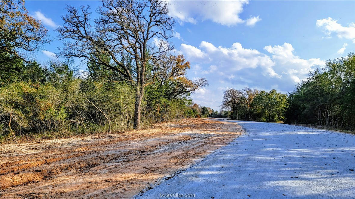 LOT 28 YORKSHIRE TRAIL, FRANKLIN, TX 77856, photo 1 of 19