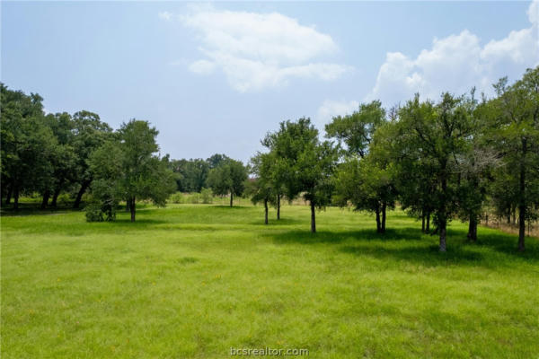 TBD THORNBERRY DRIVE, SOMERVILLE, TX 77879, photo 2 of 7