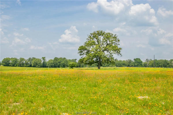 LOT 31 LEGACY RD, SOMERVILLE, TX 77879, photo 4 of 31