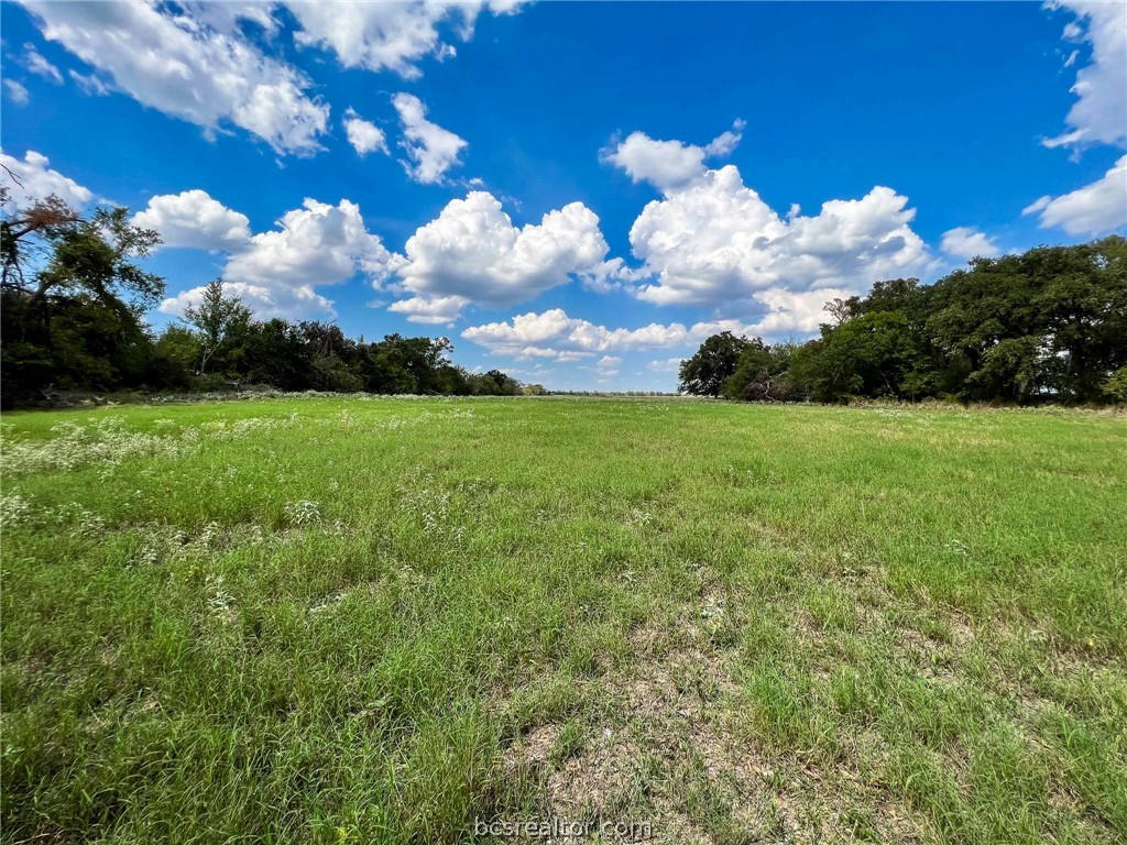 TRACT 8 FM 2745, KOSSE, TX 76653, photo 1 of 36