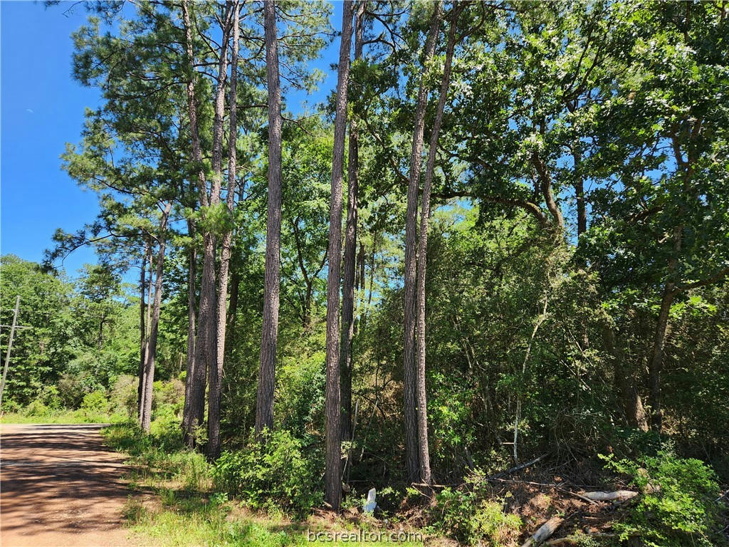 LOT 1 CORAL BEAN LANE, PLANTERSVILLE, TX 77363, photo 1 of 14