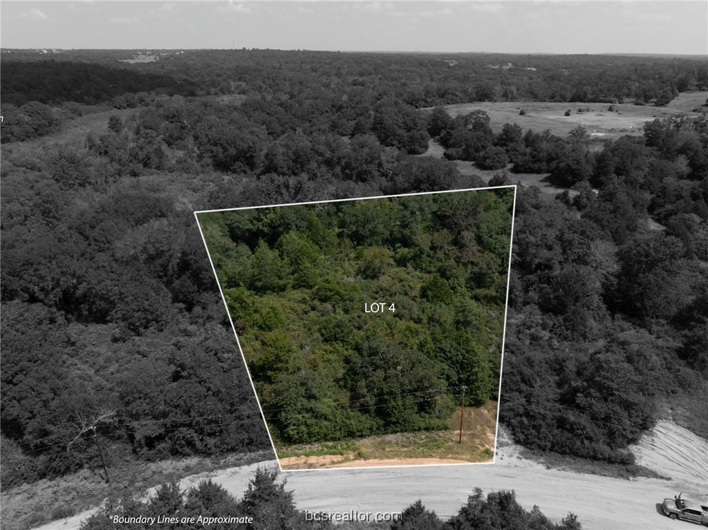 LOT 4 RANCH ROAD DRIVE, HILLTOP LAKES, TX 77871, photo 1 of 10