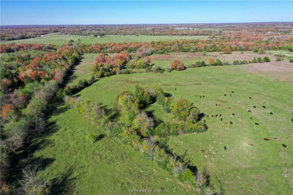 15.2 ACRES N OLD SPRINGFIELD RD, NORTH ZULCH, TX 77872, photo 4 of 19
