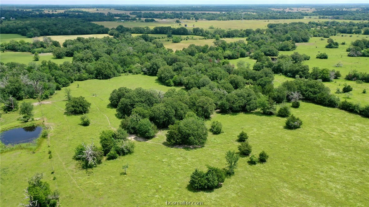 22 AC OXFORD CEMETERY ROAD, MADISONVILLE, TX 77864, photo 1 of 22